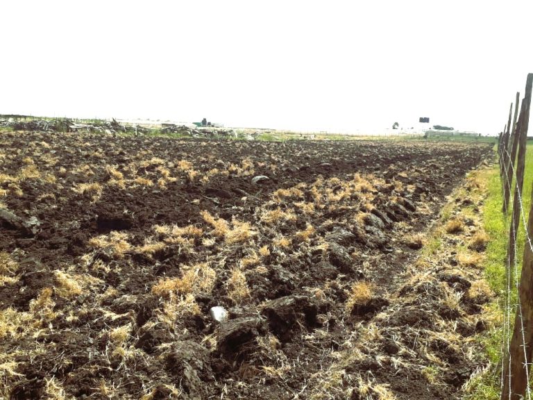 Agricultural Land for Lease in Isinya, Kajiado: Best Deals.