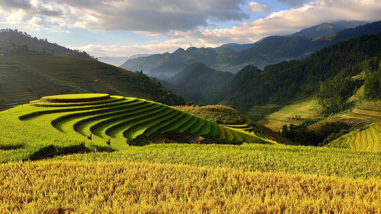 Agricultural Land